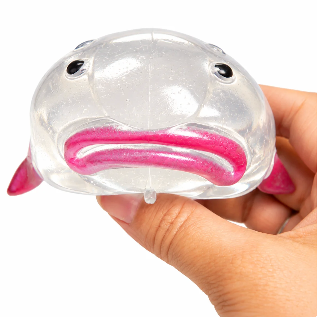 Large Blob Fish Jelly Squishy Toy – Soft TPR Sensory Stress Relief Fidget Toy for Kids & Adults